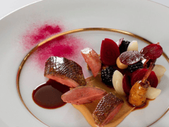 De Heeren van Harinxma