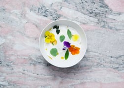 Mielcke & Hurtigkarl