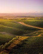 d'Arry's Verandah Restaurant