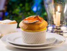 Wally's Desert Turtle