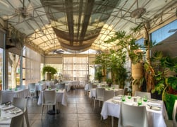 The Frog and the Peach