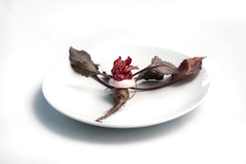 The Restaurant at the Bruce