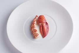 Ugly Butterfly by Adam Handling