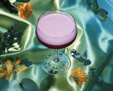 Lucy's Flower Shop (Bar)