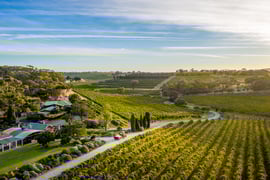 Coriole Vineyards Restaurant