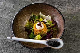 Kräuterreich by Vitus Winkler