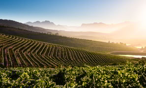 The Jordan Restaurant with George Jardine