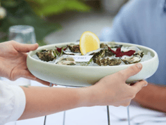 Thirty Three Degrees