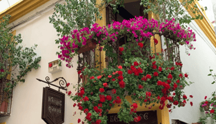 Restaurante El Churrasco