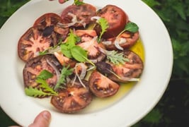 Barcelona Wine Bar — Denver