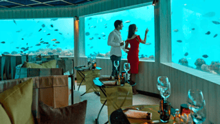 M6M Minus Six Meters