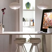 Due Cigni Il Ristorante