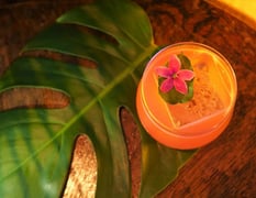 Tropic City (Bar)