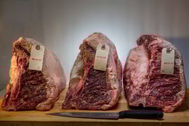 The River Palm Terrace