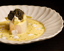 Terre Restaurant
