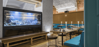 Wine and Crab Barvikha