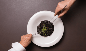 Ferpel Gastronómico