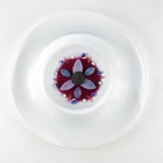 Paolo Griffa al Caffè Nazionale