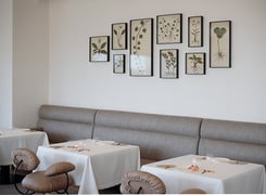 ESTERRE by Alain Ducasse