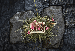 Wiesner Mysterion - Zauber