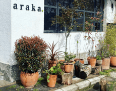 Araka