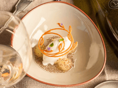 Zonda Cocina de Paisaje