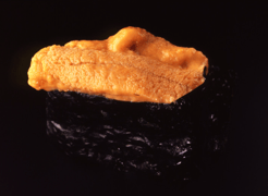 Sukiyabashi Jiro Ginza