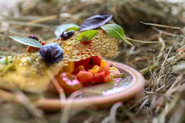 Émilie & Thomas - Moulin de Cambelong