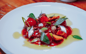 La Coopérative - Domaine Riberach