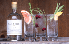 Barr Hill Cocktail Bar