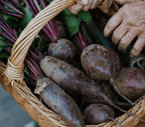 Hirsch Genusshandwerk