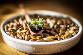 Ancestral Restaurante