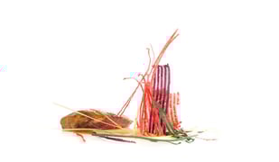 Arzak
