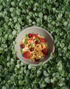 ONA Coffee Sydney | Cafe Marrickville