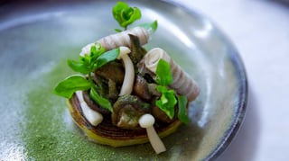 Le Jardin des Plumes