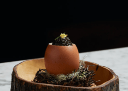 Le Comptoir at Bar Crenn