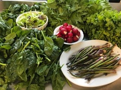 Osteria della Villetta