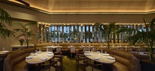 Supernormal Brisbane