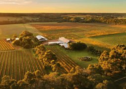 Cullen Restaurant & Cellar Door