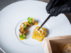 AURA by Alexander Herrmann & Tobias Bätz